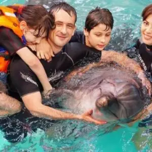 Dolphins Show and Swimming with Dolphin