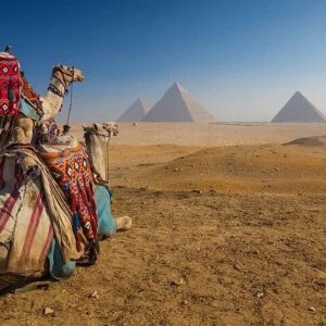 Cairo& Pyramids of Giza (by Bus)