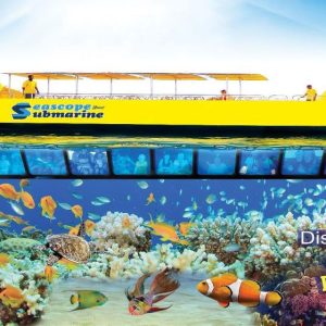 Seascope Submarine boat cruise