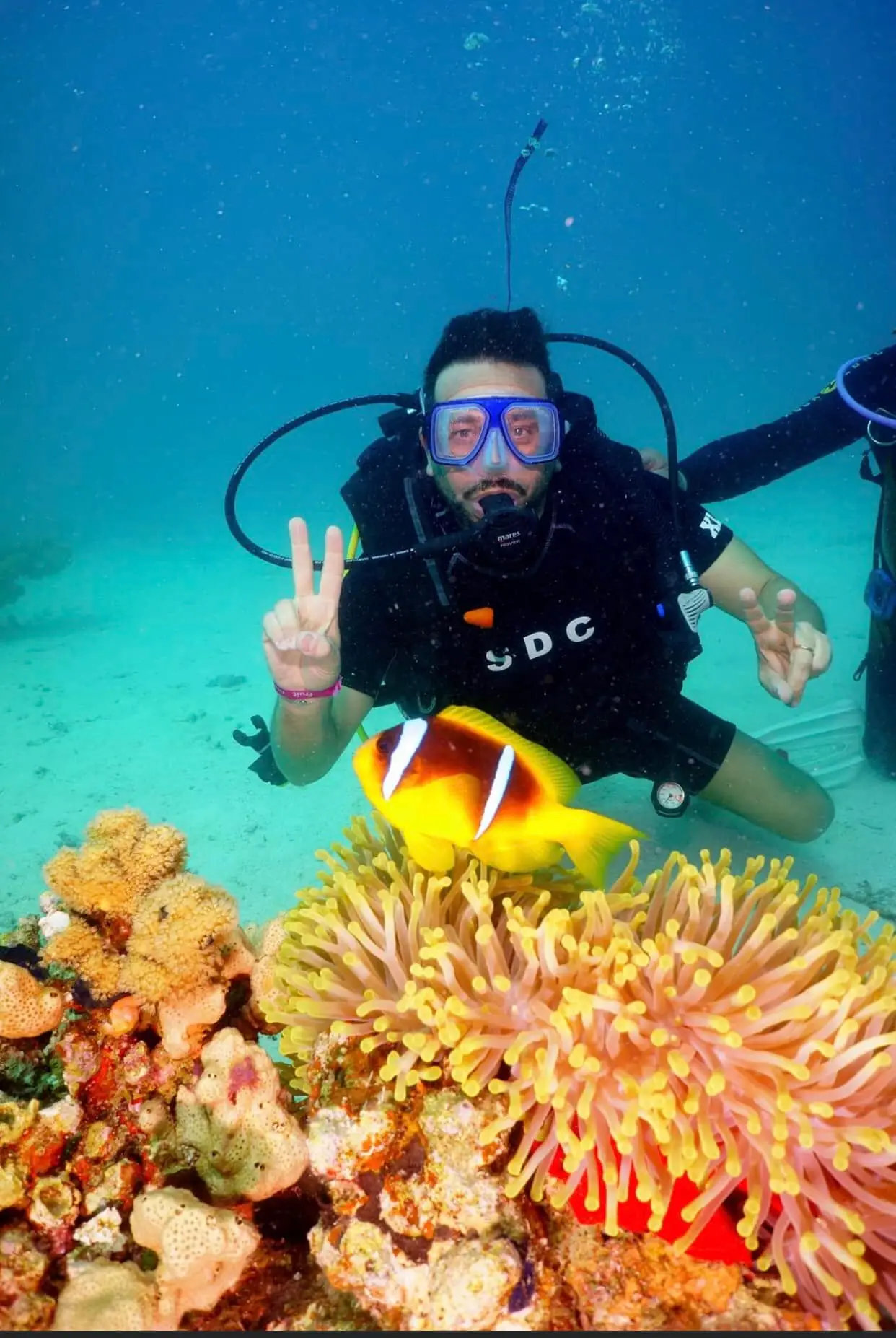 Shore Diving