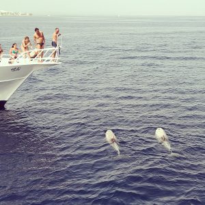 Tiran Island (by Yacht)