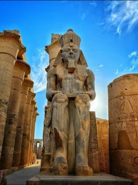 247220078_4461628430597669_2149562436317719043_n